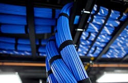 Dense network cabling within a Cologix data center. (Photo: Cologix)